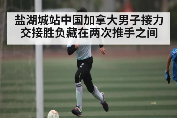 盐湖城站中国加拿大男子接力交接胜负藏在两次推手之间